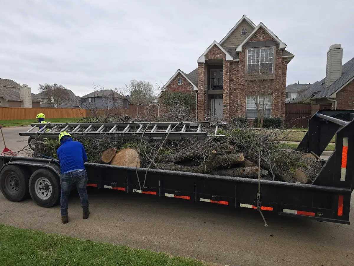 Expert Lot Clearing with proper safety equipment in Bradner